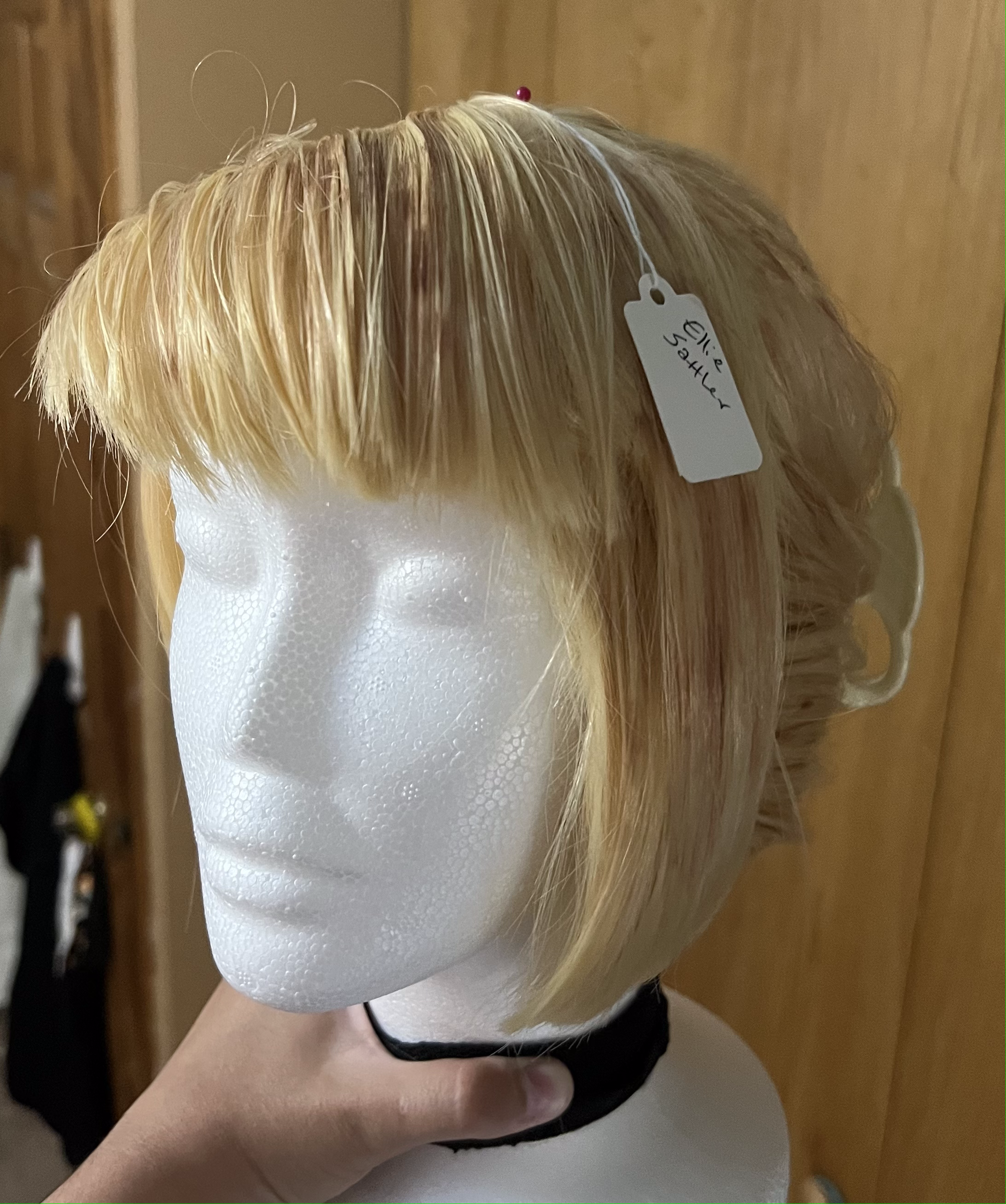 IMG_8119 wig - ellie sattler